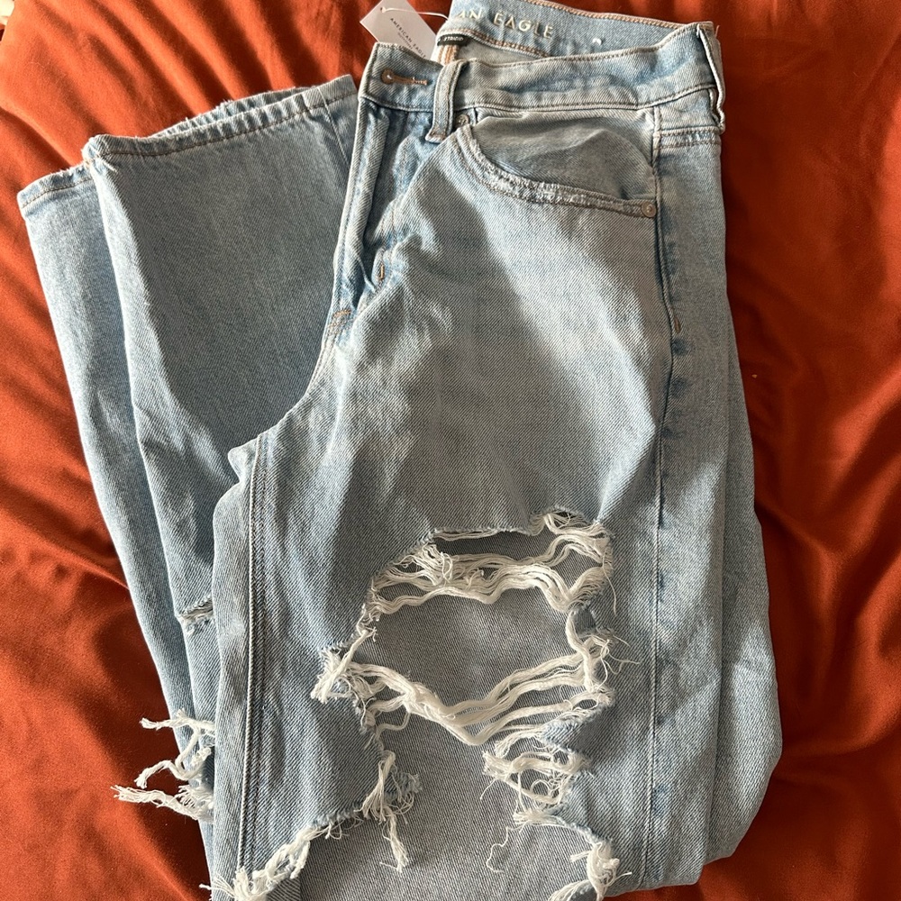 WITH TAGS American Eagle Outfitters never worn 90s Straight Jean
